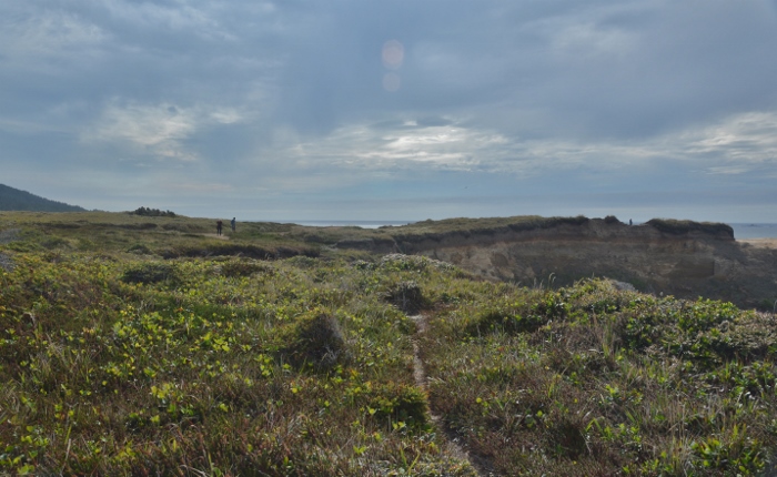 trail to the headland